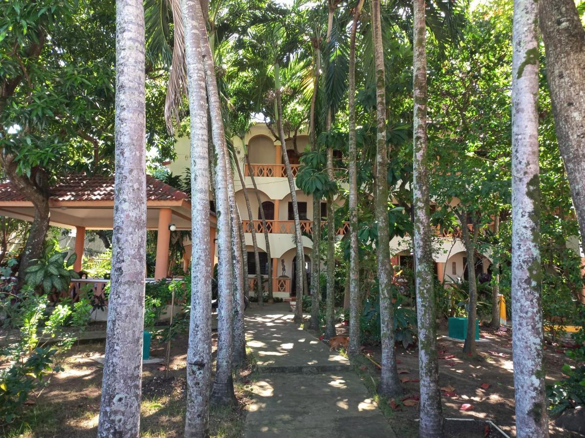 Residencial Estephany โซซูอา ภายนอก รูปภาพ